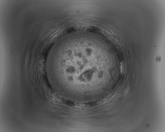 X0000098001059200804021026