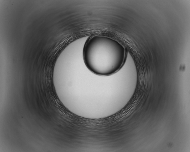 X0000098001060200804021026