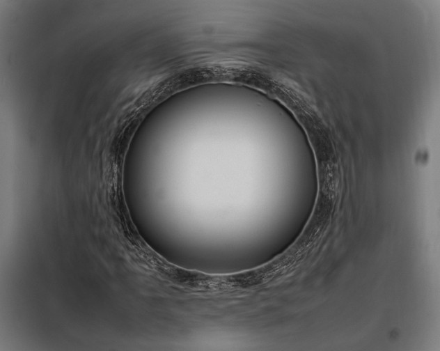 X0000098001061200804021026