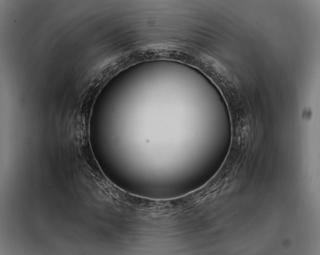 X0000098001062200804021026