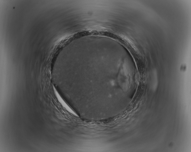 X0000098001063200804021026