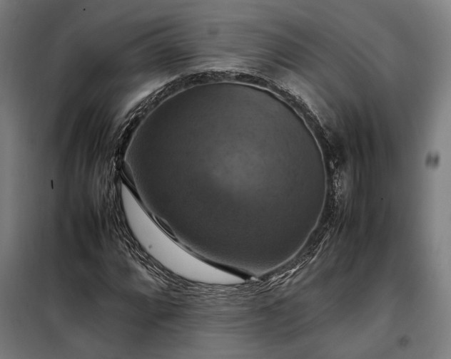 X0000098001064200804021026