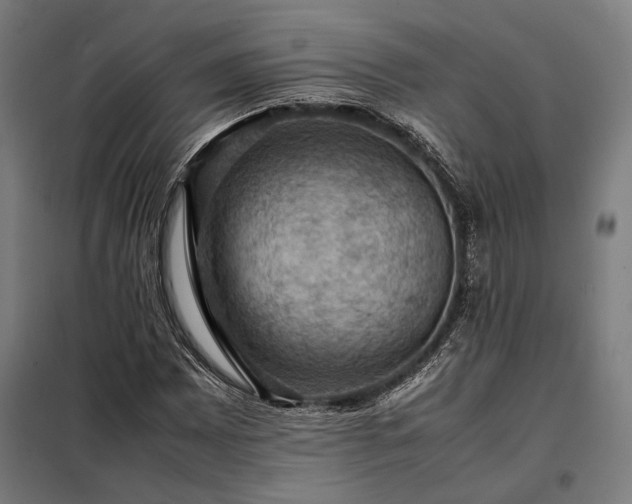 X0000098001065200804021026