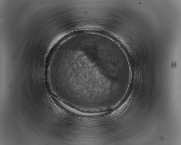 X0000098001066200804021026