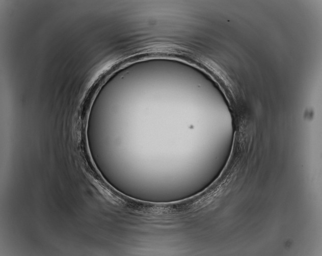 X0000098001067200804021026