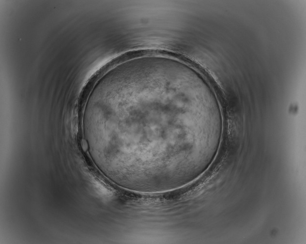X0000098001069200804021026