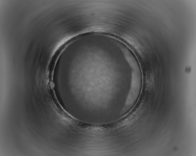 X0000098001070200804021026