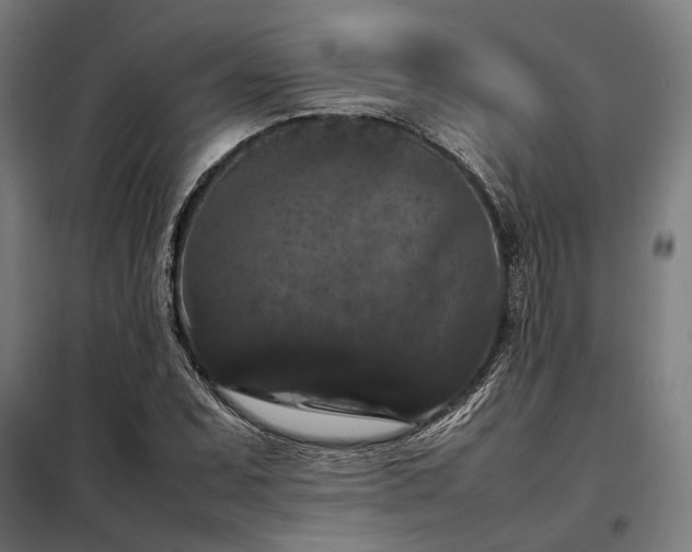X0000098001071200804021026