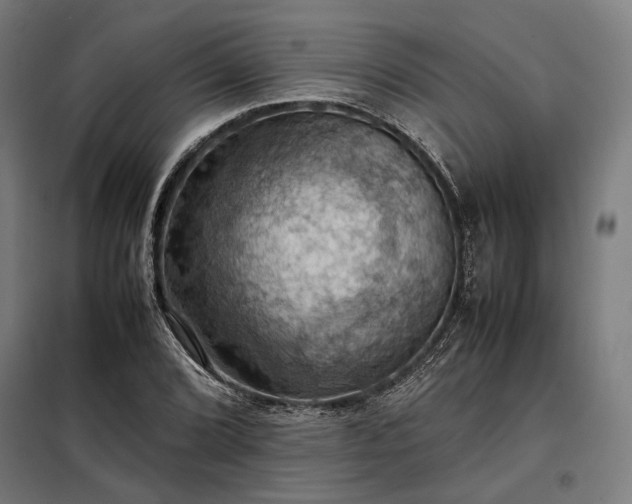 X0000098001072200804021026