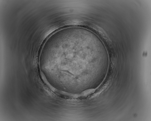 X0000098001073200804021026