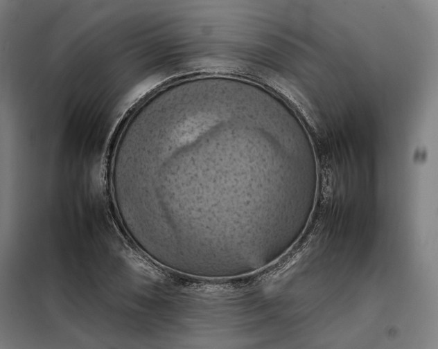 X0000098001074200804021026