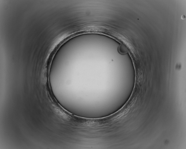 X0000098001075200804021026