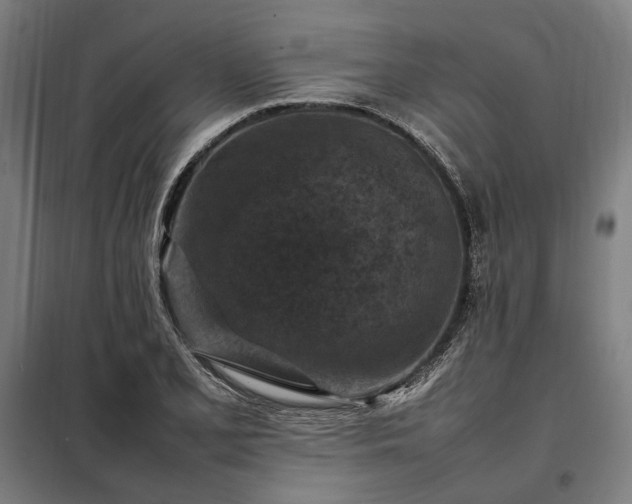 X0000098001077200804021026