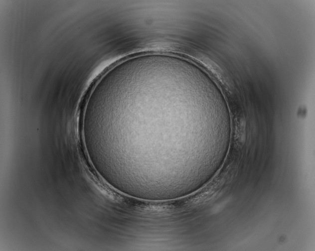X0000098001078200804021026