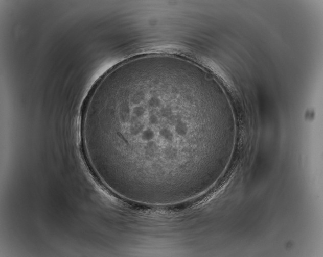 X0000098001079200804021026