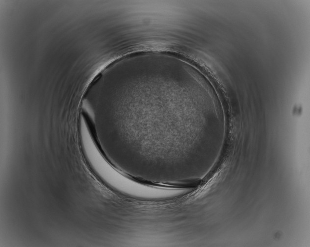 X0000098001081200804021026