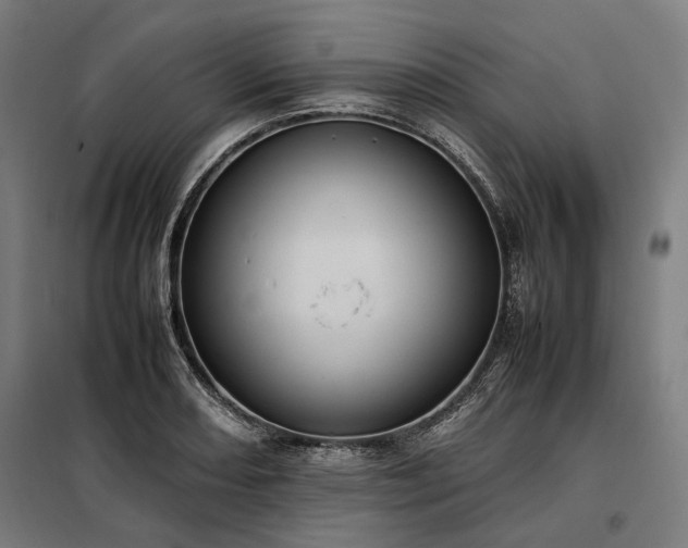 X0000098001082200804021026