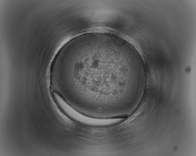 X0000098001083200804021026