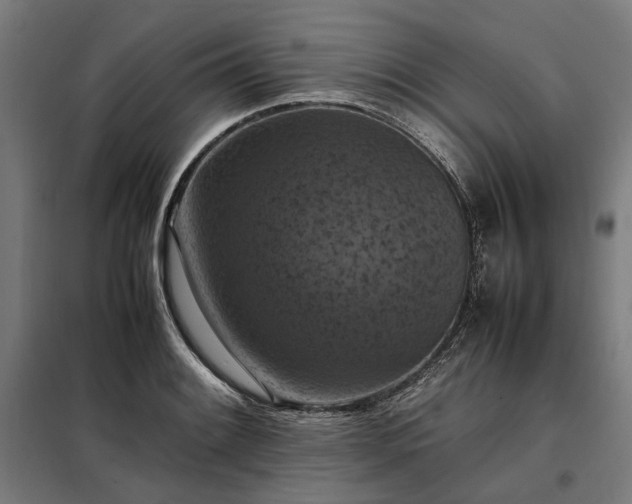 X0000098001084200804021026