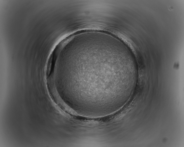 X0000098001085200804021026