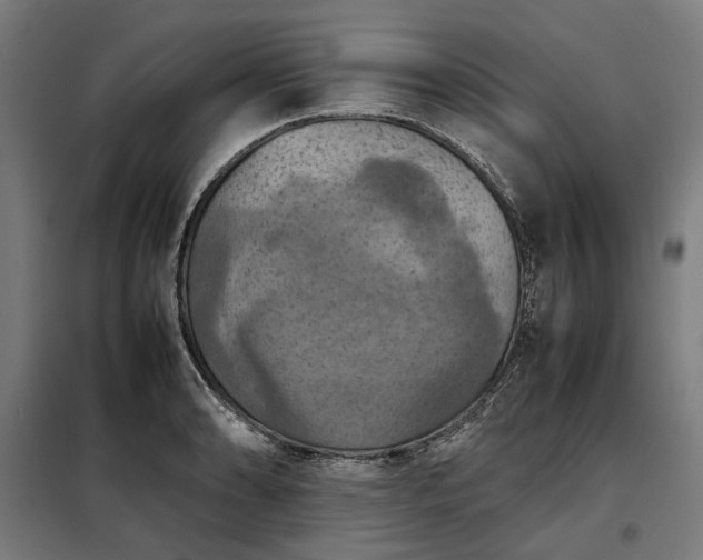 X0000098001086200804021026