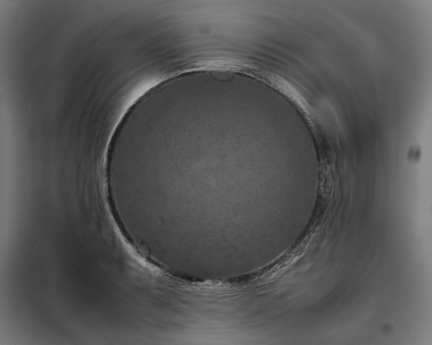 X0000098001087200804021026