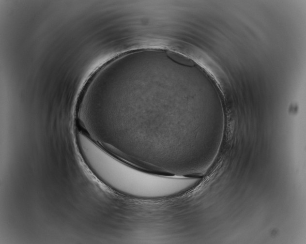 X0000098001088200804021026