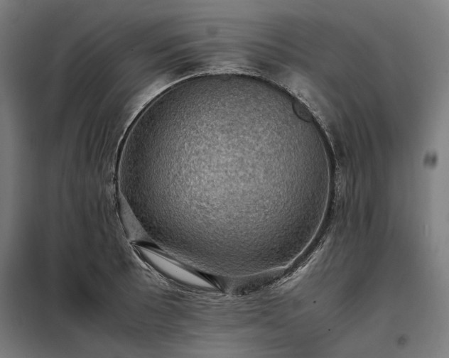 X0000098001089200804021026