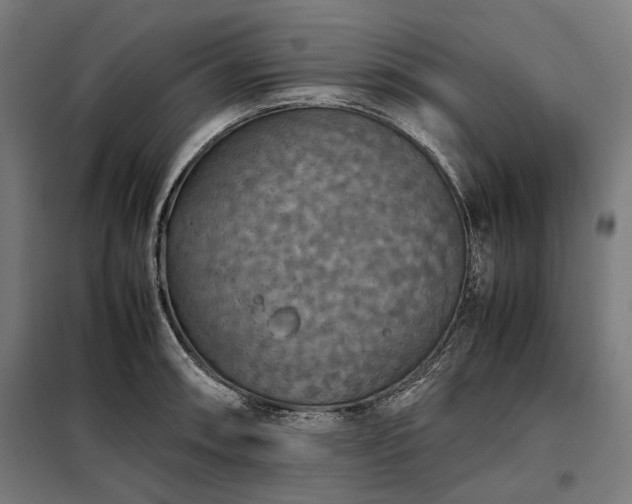 X0000098001090200804021026