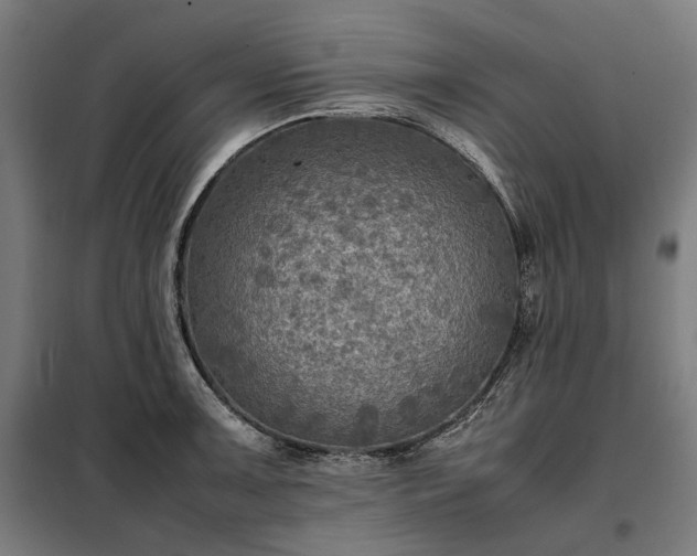 X0000098001091200804021026