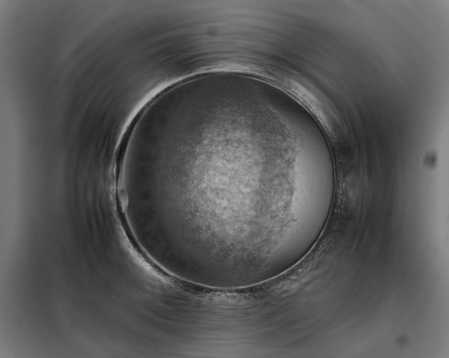 X0000098001092200804021026