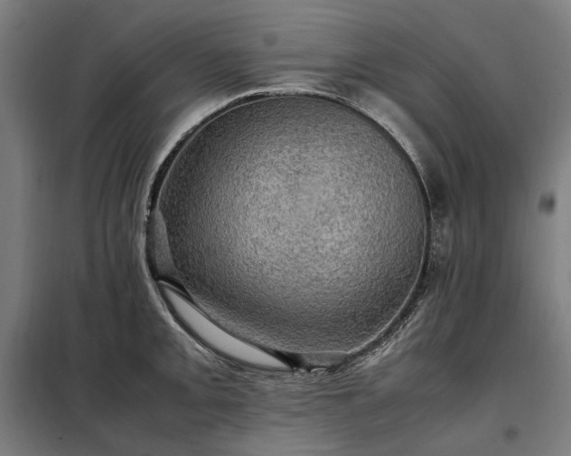 X0000098001093200804021026