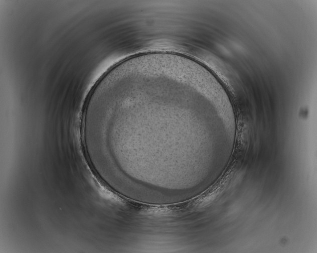 X0000098001094200804021026