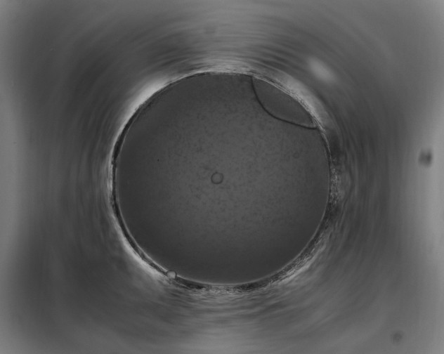 X0000098001095200804021026