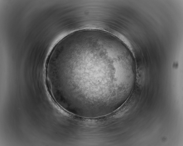 X0000098001096200804021026