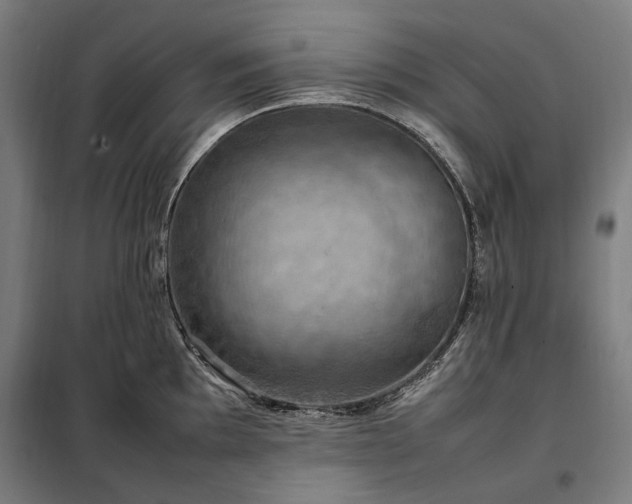 X0000098001097200804021026