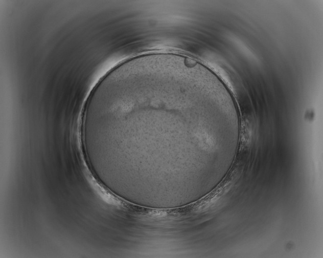 X0000098001098200804021026