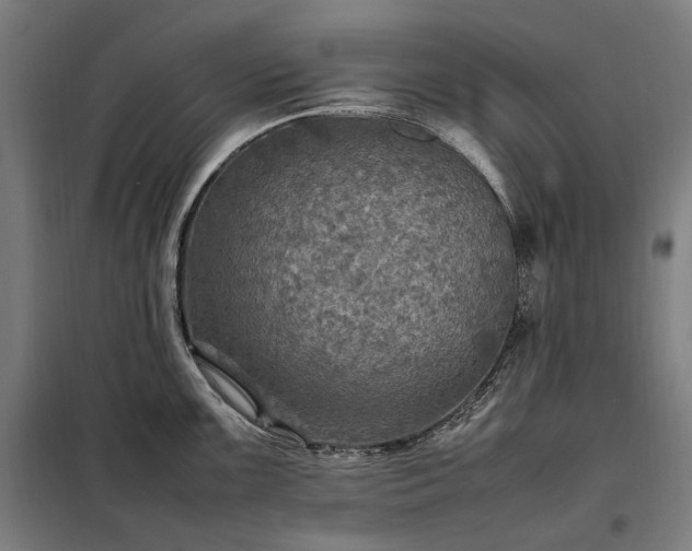 X0000098001099200804021026