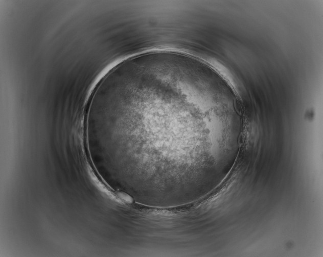 X0000098001100200804021025