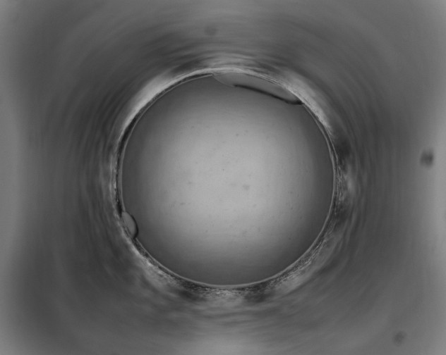X0000098001101200804021025