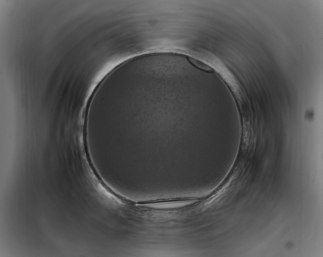 X0000098001102200804021025