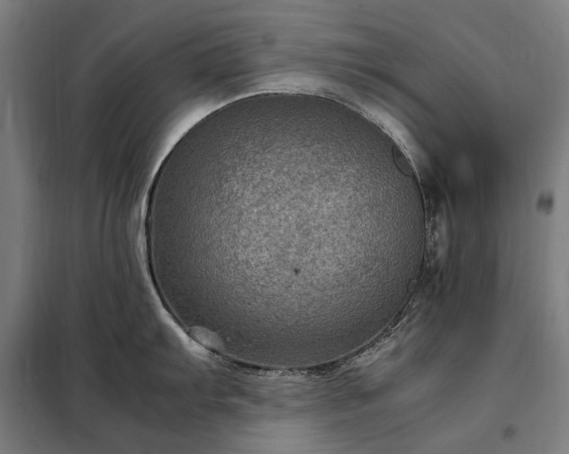 X0000098001103200804021025