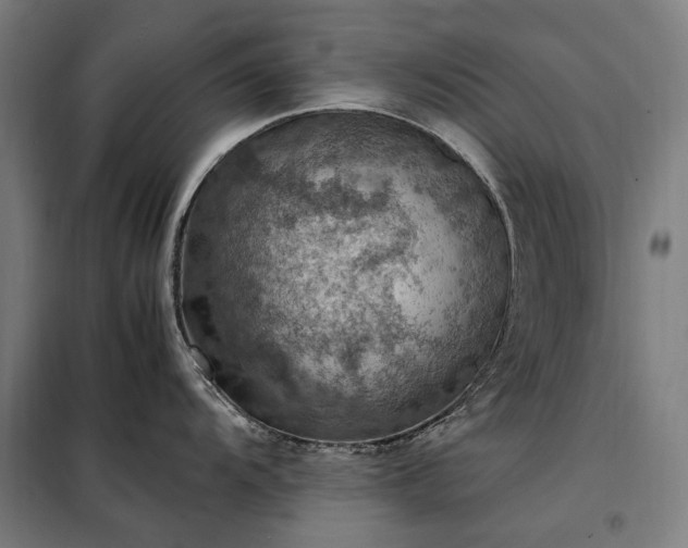 X0000098001104200804021025