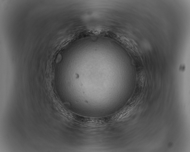 X0000098001105200804021025