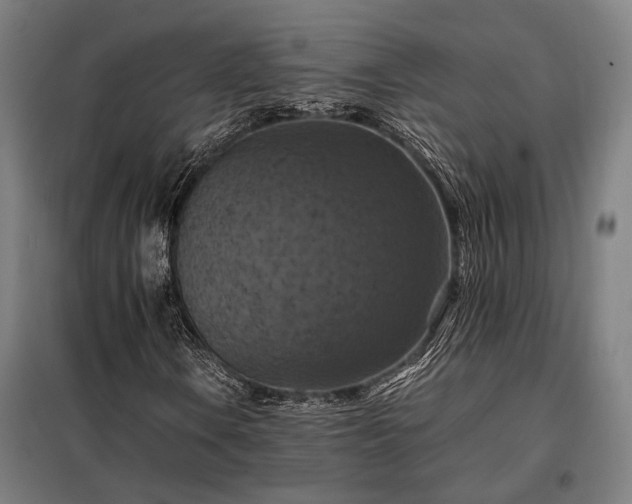 X0000098001106200804021025