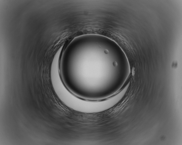 X0000098001107200804021025