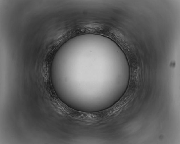 X0000098001109200804021025