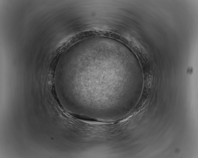 X0000098001110200804021025