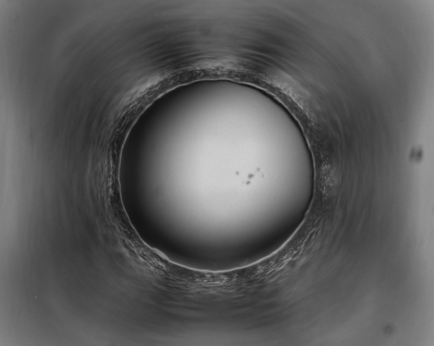 X0000098001111200804021025