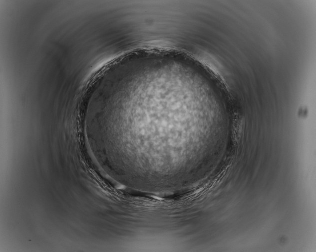 X0000098001112200804021025